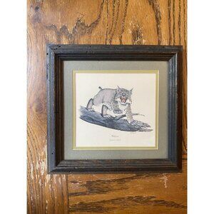 Vintage 1969 Kentucky Wildcat Lynx Rufus Print By Gene Gray Framed Art